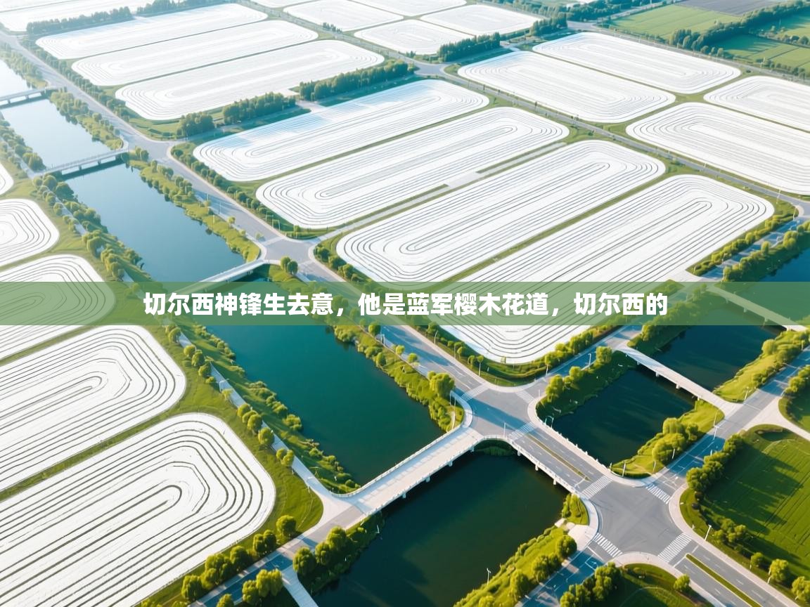 乐动体育app-切尔西神锋生去意，他是蓝军樱木花道，切尔西的