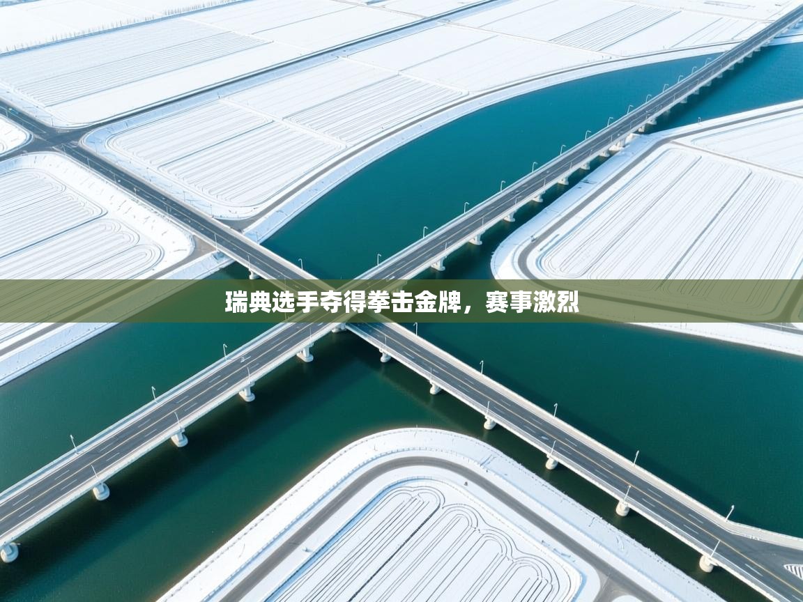 ld乐动体育app官网-瑞典选手夺得拳击金牌，赛事激烈  第2张