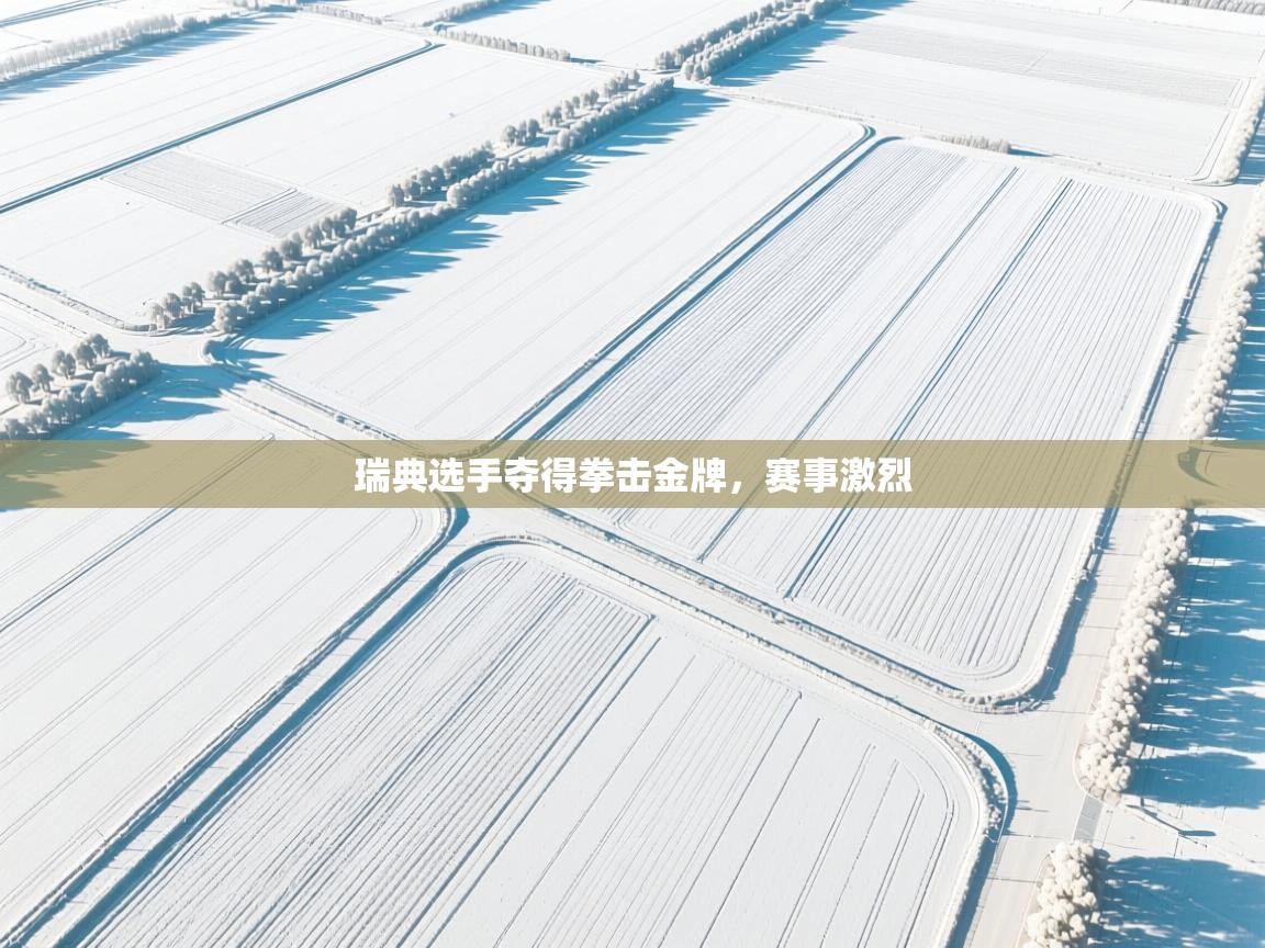 ld乐动体育app官网-瑞典选手夺得拳击金牌，赛事激烈  第1张