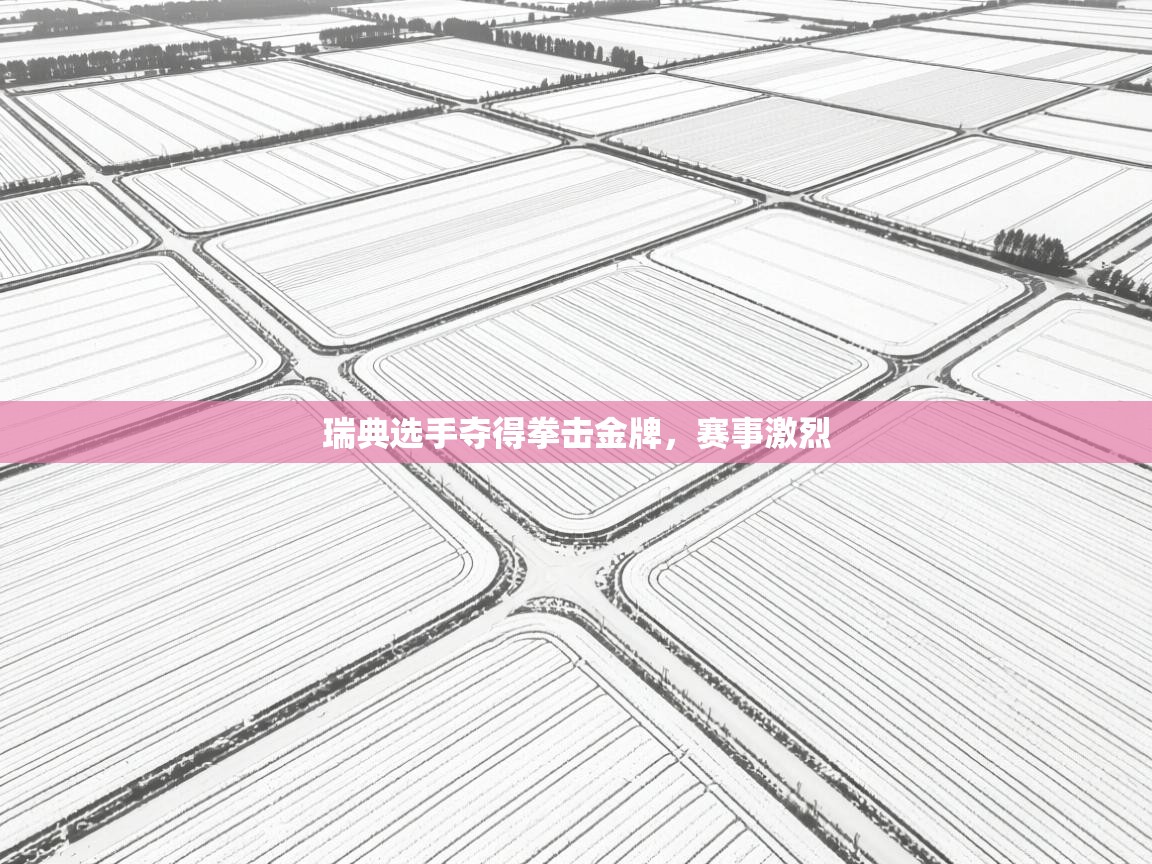 ld乐动体育app官网-瑞典选手夺得拳击金牌，赛事激烈  第3张