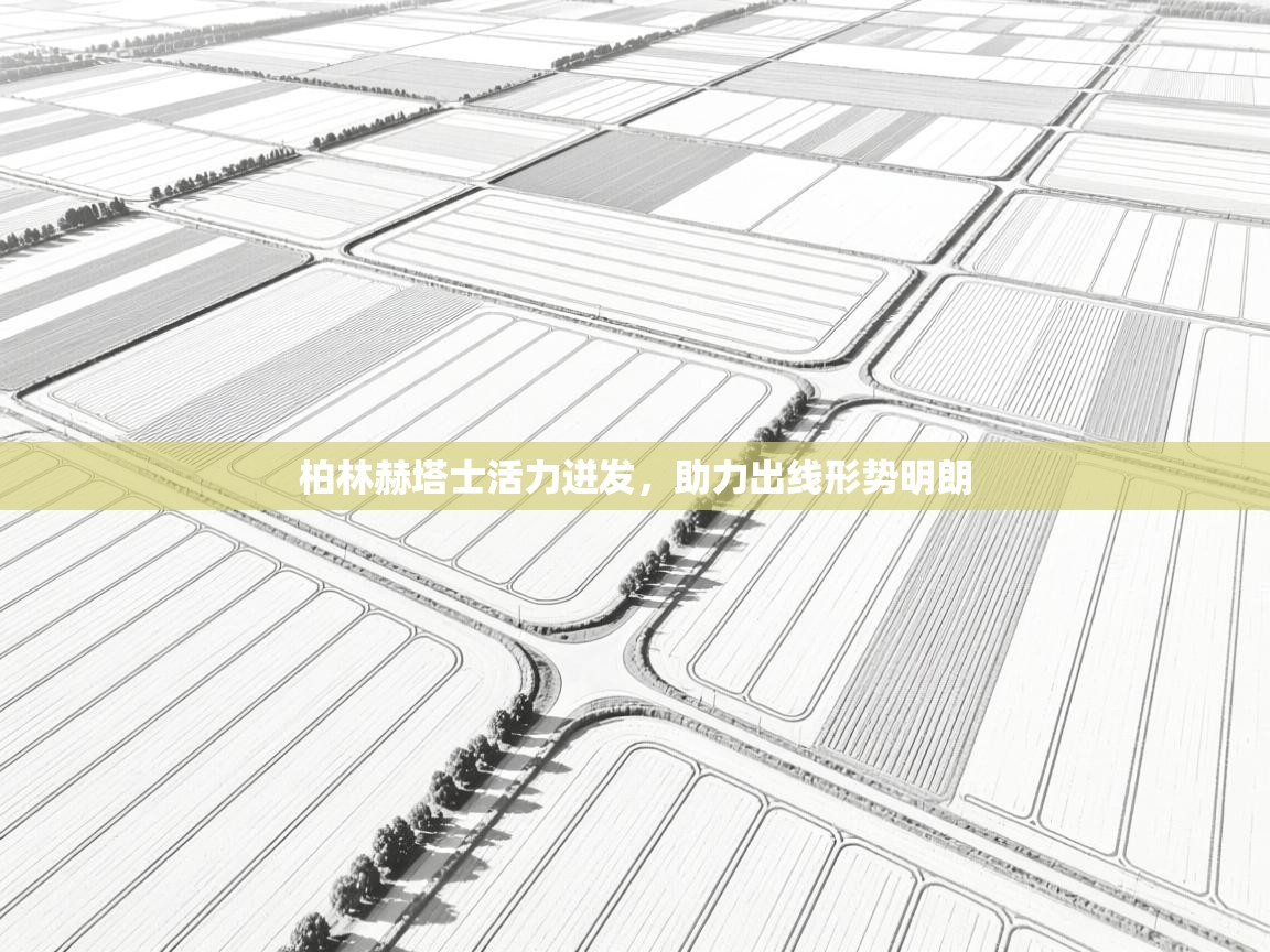 乐动体育官网-柏林赫塔士活力迸发，助力出线形势明朗  第2张