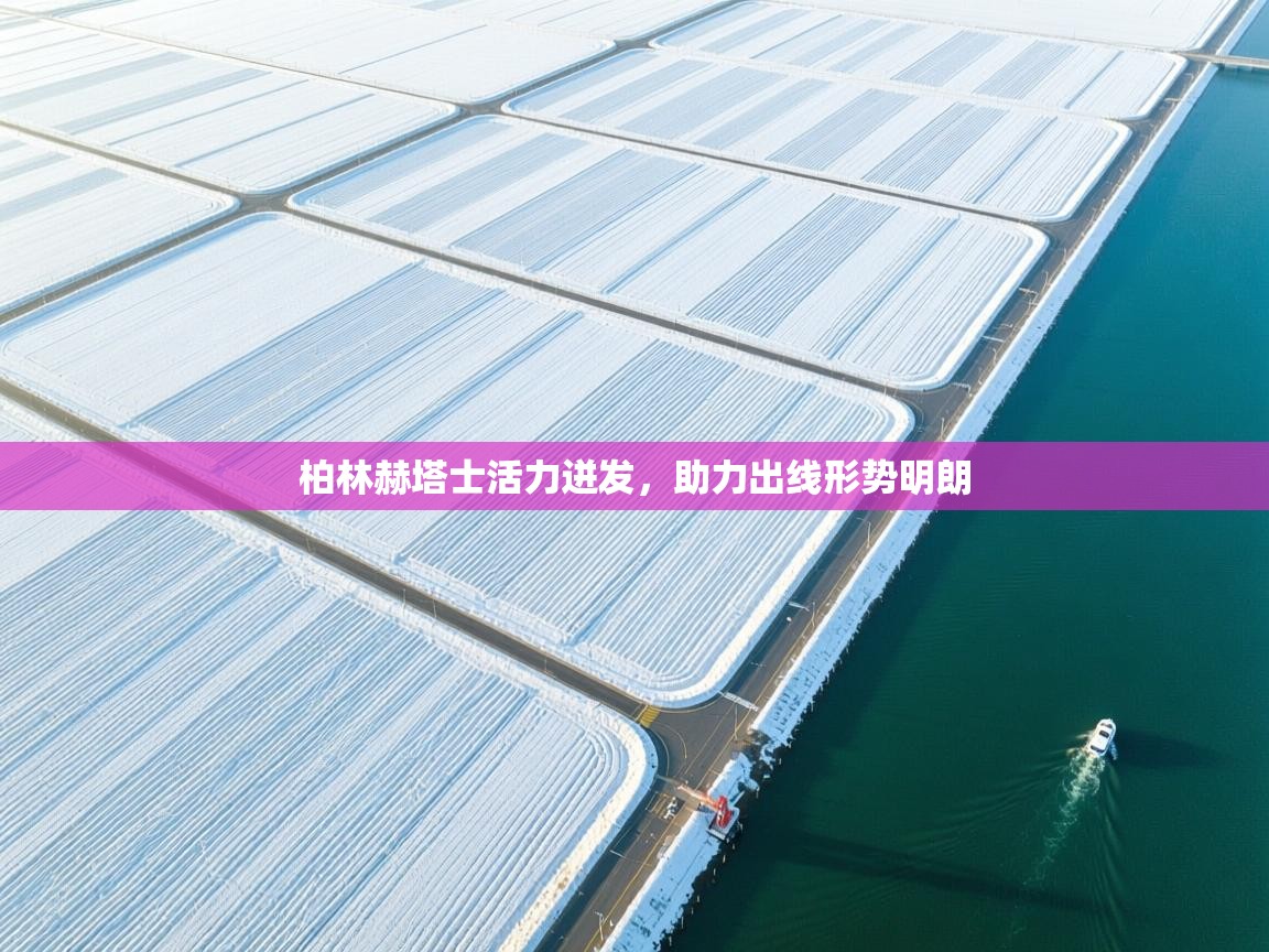 乐动体育官网-柏林赫塔士活力迸发，助力出线形势明朗  第3张