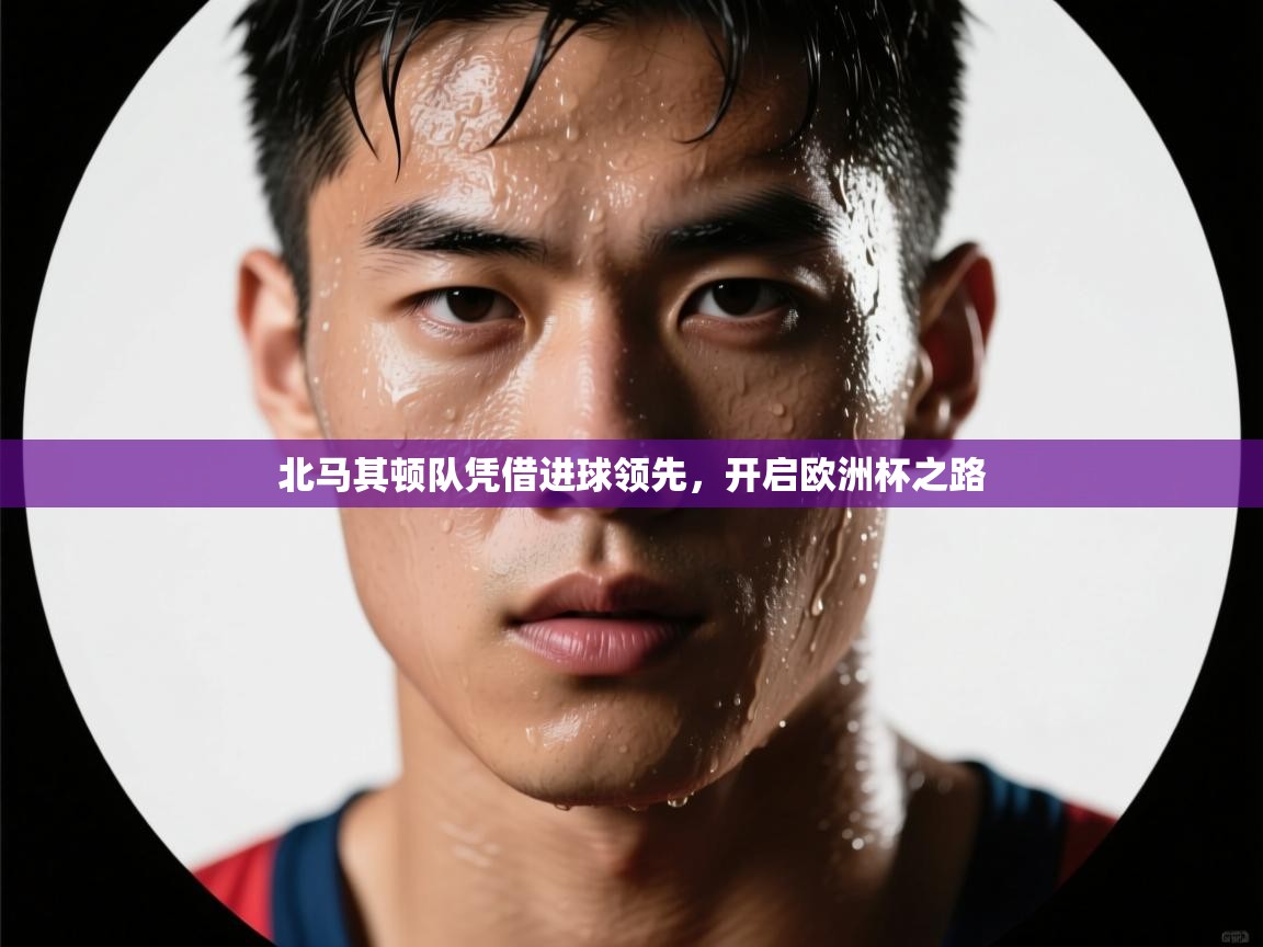 乐动ld体育直播-北马其顿队凭借进球领先，开启欧洲杯之路  第1张