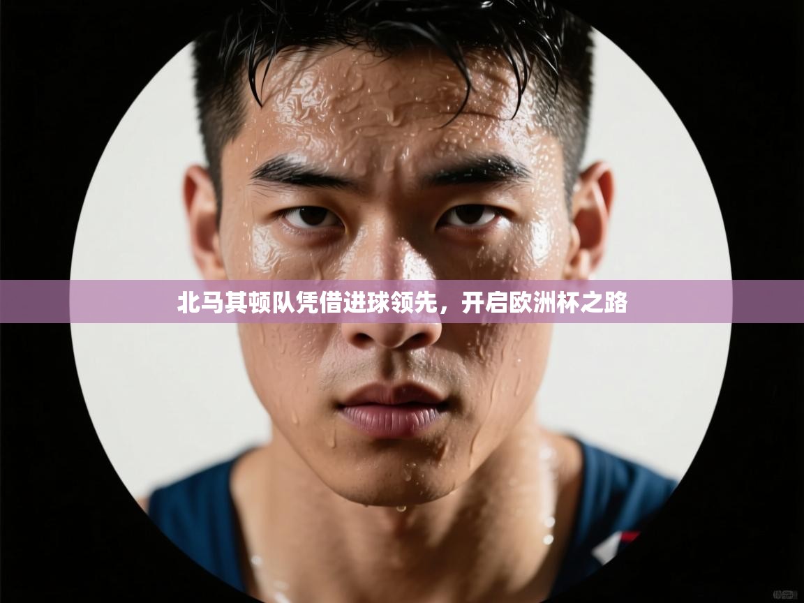 乐动ld体育直播-北马其顿队凭借进球领先，开启欧洲杯之路  第2张