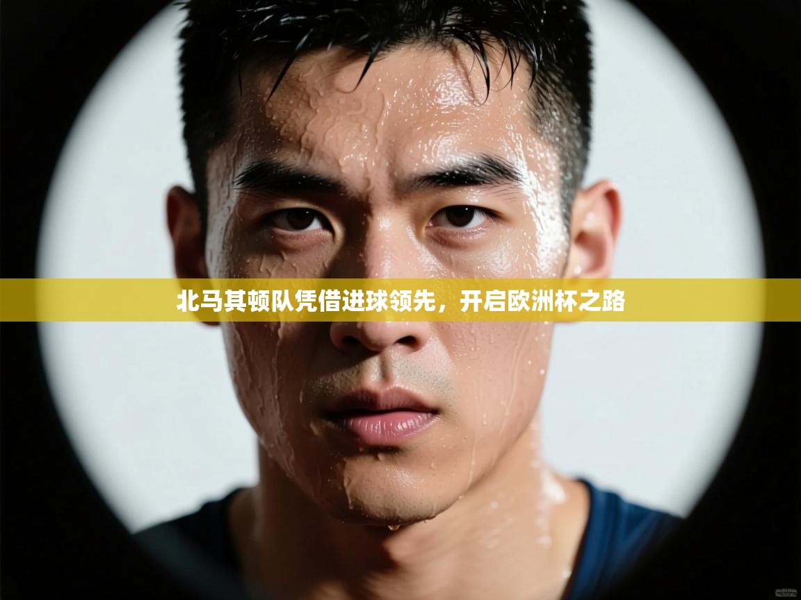 乐动ld体育直播-北马其顿队凭借进球领先，开启欧洲杯之路  第3张